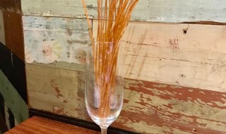 【Babbo Trattoria】新奇！餃子Pizza！