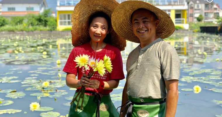 【鬈毛在宜蘭。住宿篇五之五】**訂房＋親子團獨家9折優惠** 走進蓮花池吸花蜜！月牙泉渡假行館