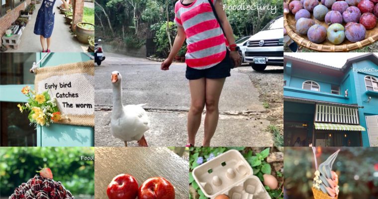 【苗栗美食住宿懶人包】自駕遊貼士＋9間民宿＋11個美食推介