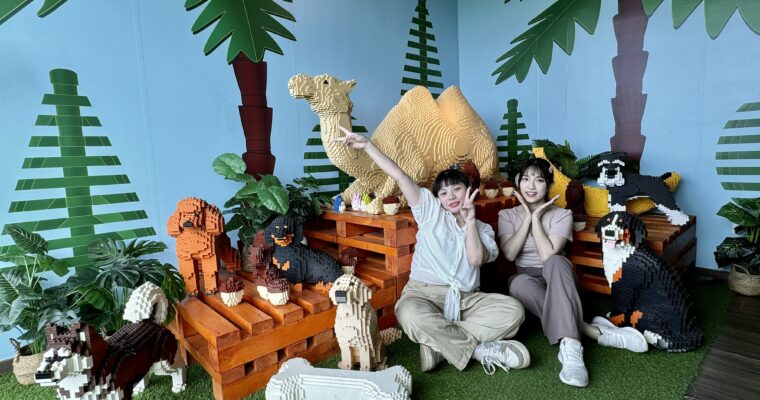 【宜蘭之旅】宜蘭IG-able主題館  打卡打不停！