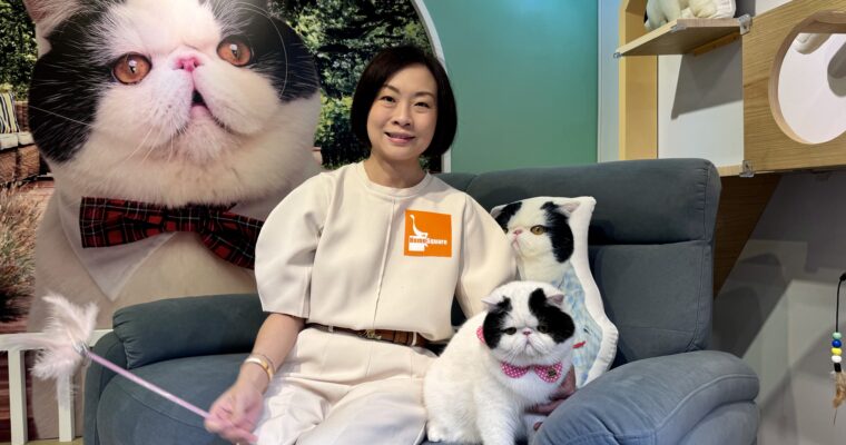 【貓經濟】HomeSquare投資百萬港元  推「香港家居折2024」吸客  